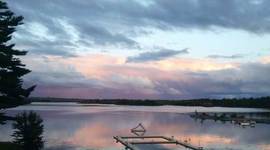 Timeline: Nicole's Timeline