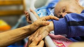 Timeline: Historia de la cuidados paliativos.