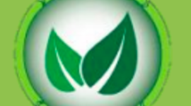 Timeline: IMPACTO AMBIENTAL