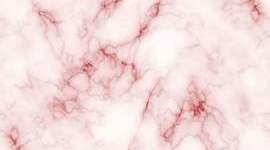 Timeline: Línea del tiempo de cuidados paliativos