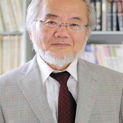 Timeline: Ёсинори Осуми