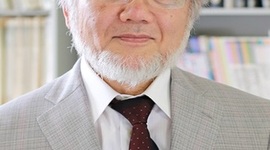 Timeline: Ёсинори Осуми