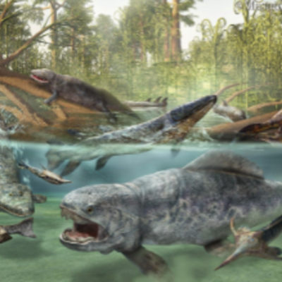 Timeline: Geologic Timeline - C'Andre Cruz