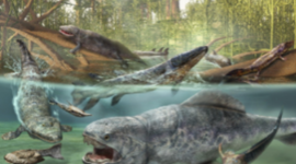 Timeline: Geologic Timeline - C'Andre Cruz