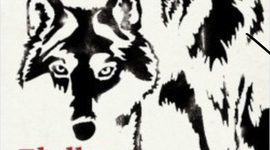 Timeline: Els llops de la lluna roja