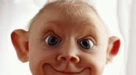 Timeline: Zach S, Justin E, Bert L.