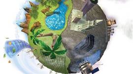 Timeline: Problemática ambiental de la producción y consumo de recursos naturales a nivel global