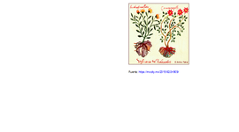 Timeline: HISTORIA DE LA FARMACOLOGÍA