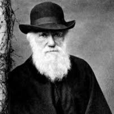 Timeline: Darwin