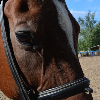 Timeline: история о том, как я ходила за хлебушком