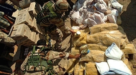 Timeline: Evolución de la logística