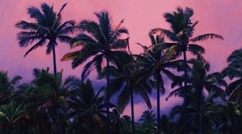 Timeline: Kehlani Raine