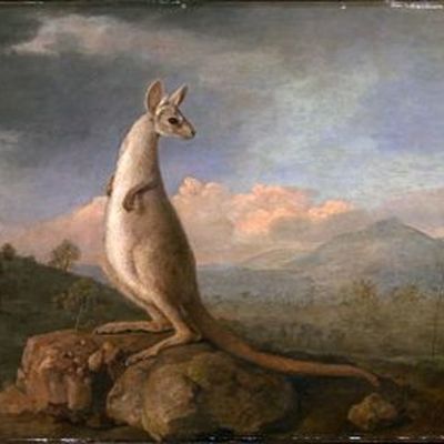 Timeline: Australian History