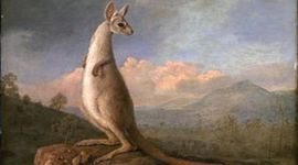 Timeline: Australian History