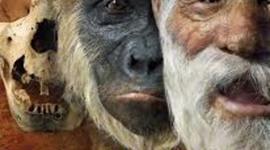 Timeline: HISTORIA DE LA HUMANIDAD