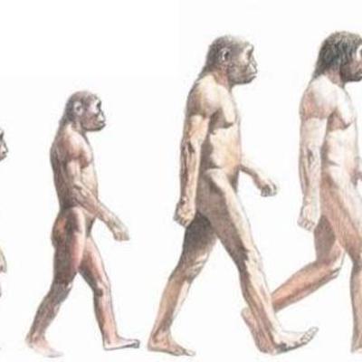 Timeline: Ciencia Evolucion