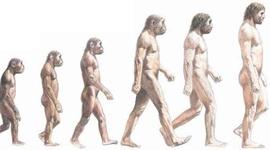 Timeline: Ciencia Evolucion