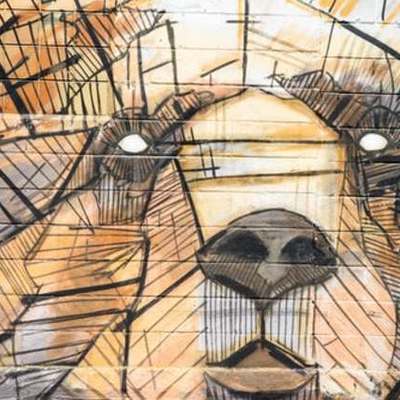 Timeline: celeste & samar co timeline