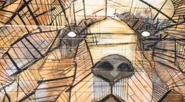 Timeline: celeste & samar co timeline