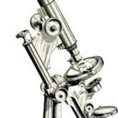 Timeline: Origen al microscopio