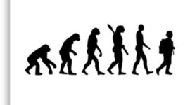 Timeline: MI LINEA DE TIEMPO