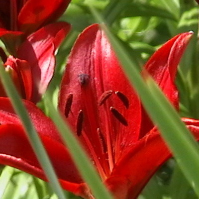 Timeline: Ashlynn & Lindsay