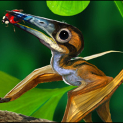 Timeline: P2CailynL.