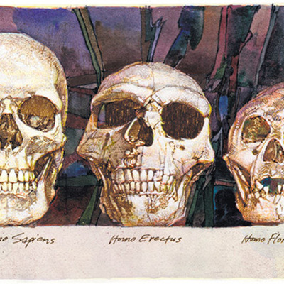 Timeline: Línia evolutiva dels homínids