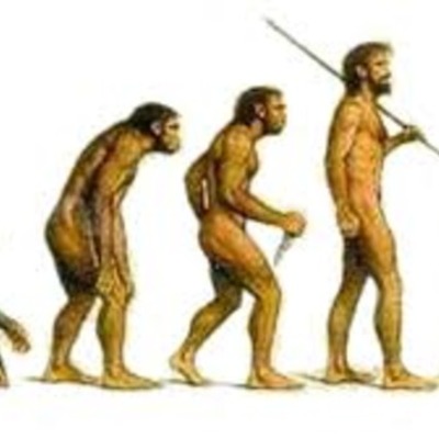 Timeline: L'evolució humana