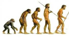 Timeline: L'evolució humana