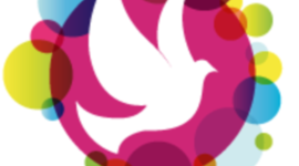 Timeline: L'évolution du Mouvement d'éducation à la paix