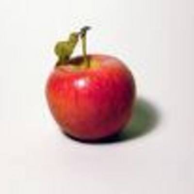 Timeline: Test Timeline