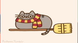 Timeline: oscars coloneis