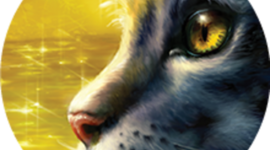 Timeline: alex westlund's colonial events