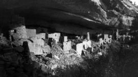 Timeline: Paul and Alex Timeline