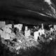 Colorado cliff palace mesa verde