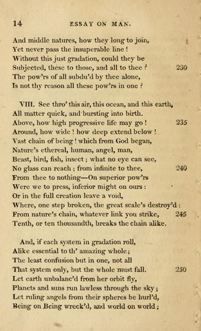 Augustan poetry essay picture