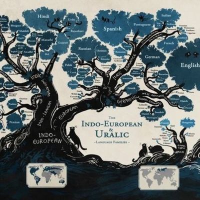 Timeline: Evolución del lenguaje