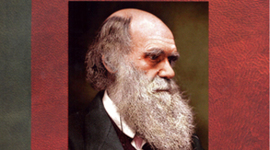 Timeline: Las musas de Darwin 1 parcial