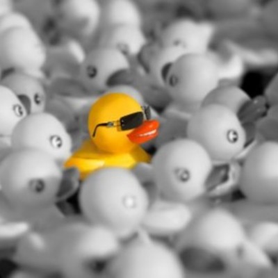 Timeline: Anthem Timeline