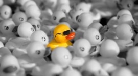 Timeline: Anthem Timeline