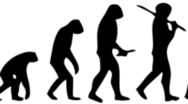 Timeline: Evolució dels homes