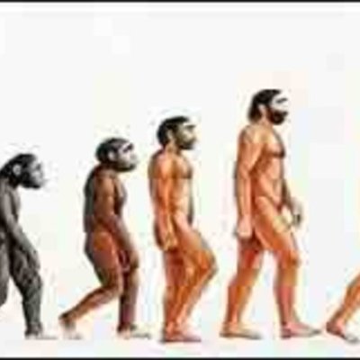 Timeline: Evolució home