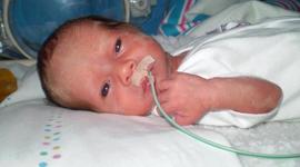 Timeline: linha do temp - historia.