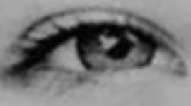 Timeline: Timeline of Myself