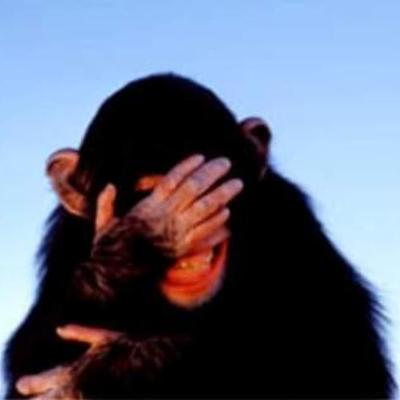 Timeline: mr. walston's timeline