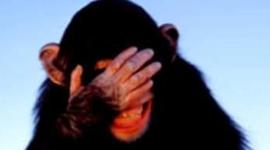 Timeline: mr. walston's timeline