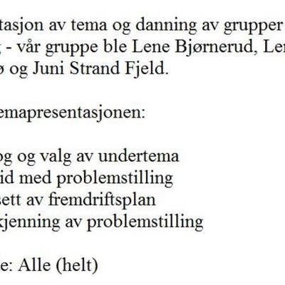 Timeline: 27. april 2009 - oppstart