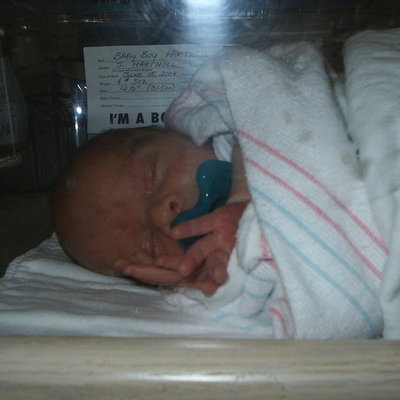 Timeline: Matthew Hartnoll's Timeline