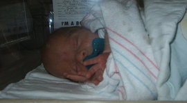 Timeline: Matthew Hartnoll's Timeline